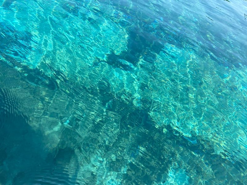 Swimming in Pure Alpine Water