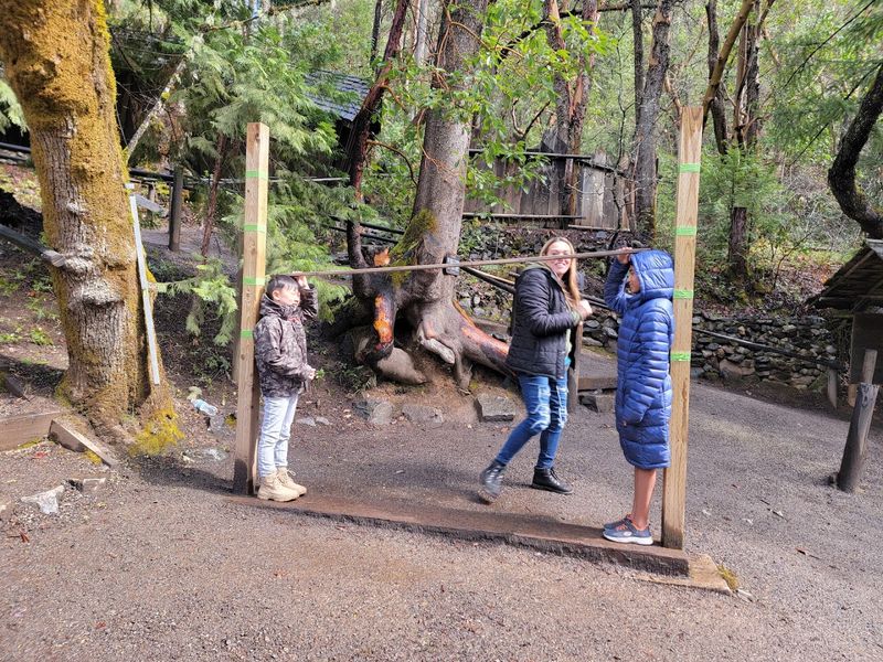 The Guided Tour Experience