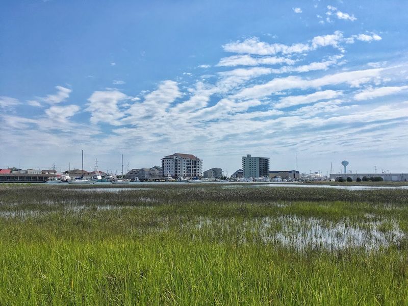 How Fast It Is Actually Disappearing