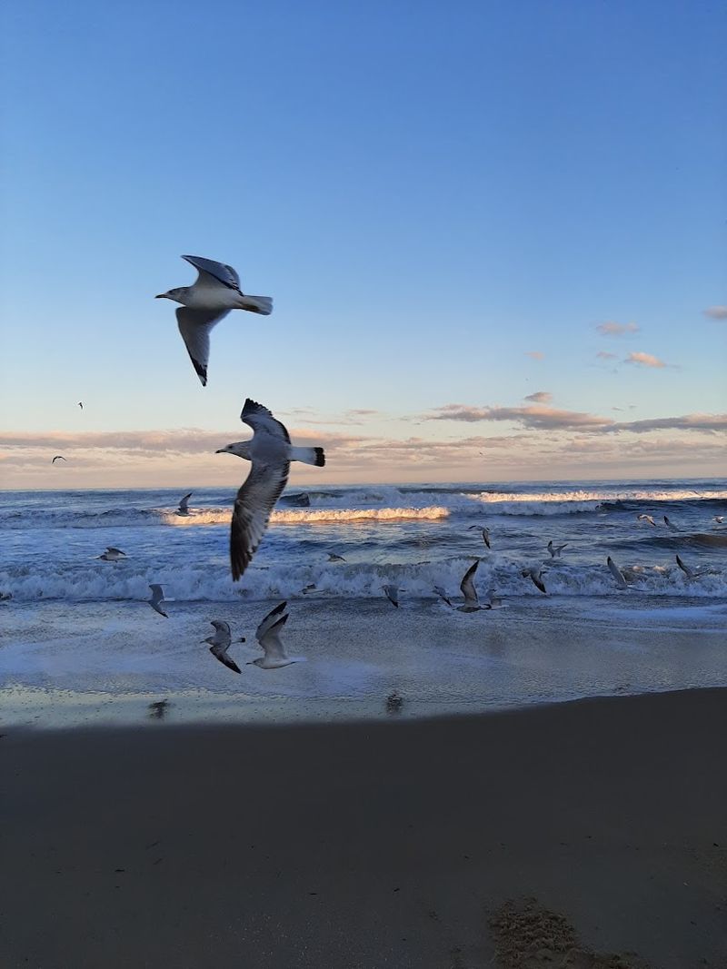 Off-Season Magic: When Locals Reclaim the Shore