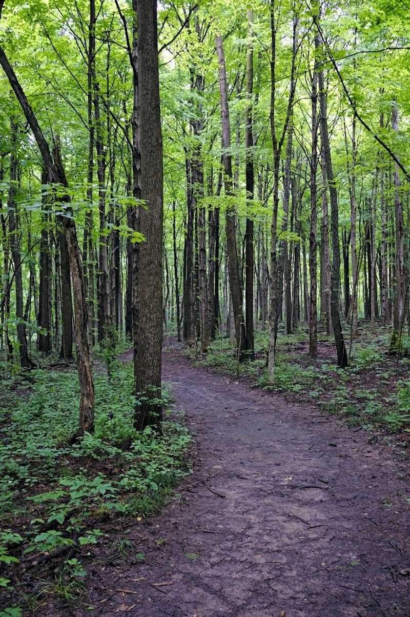 Four Miles of Trails Wind Through Wooded Terrain