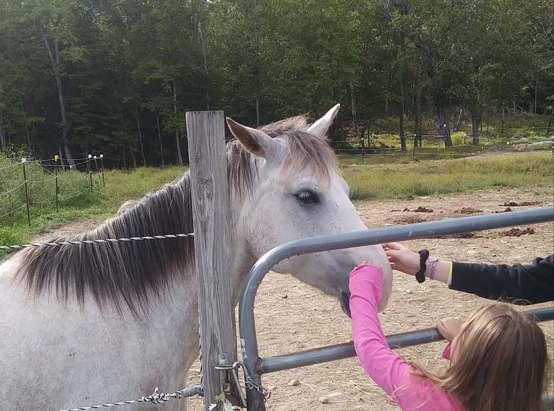 A Sanctuary Built on More Than Just Good Intentions