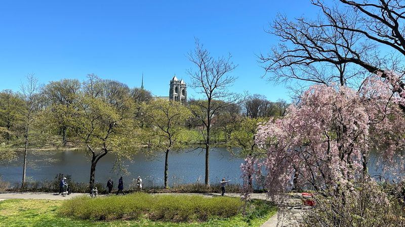 Branch Brook Park and the Stunning Surrounding Setting