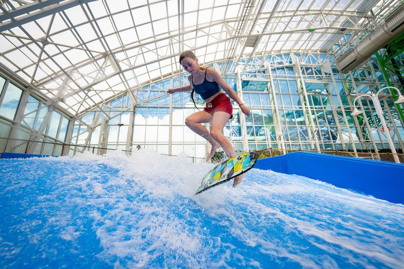 Wild Wave FlowRider Surf Simulator