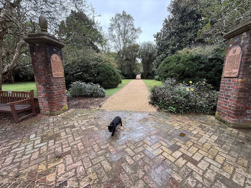 George the Cat, The Unofficial Mascot of Berkeley Plantation