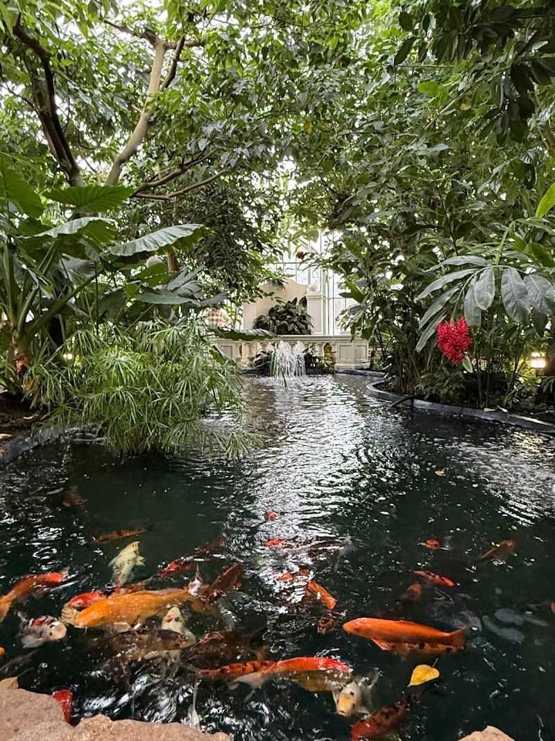 The Tropical Encounters Area That Warms You Up in Winter The Tropical Encounters Area That Warms You Up in Winter
