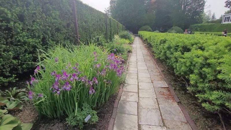 English Perennial Borders That Bloom All Season Long