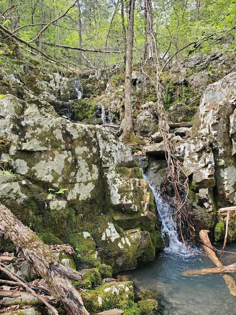 Hiking Trails That Range From Leisurely Strolls to Serious Climbs