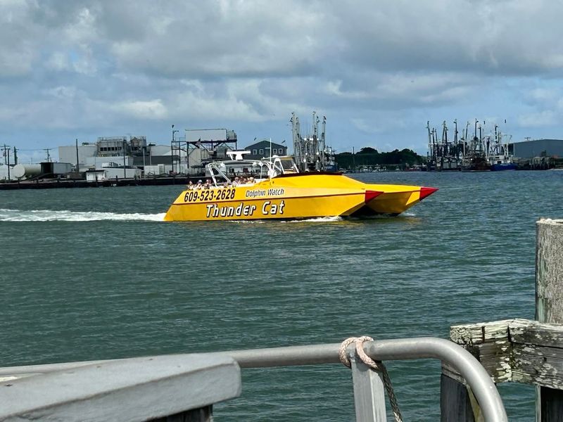 Snacks, Music, and the Little Details That Add Up