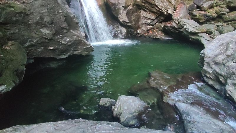 A Secluded Sanctuary Nestled In The Stowe Forest