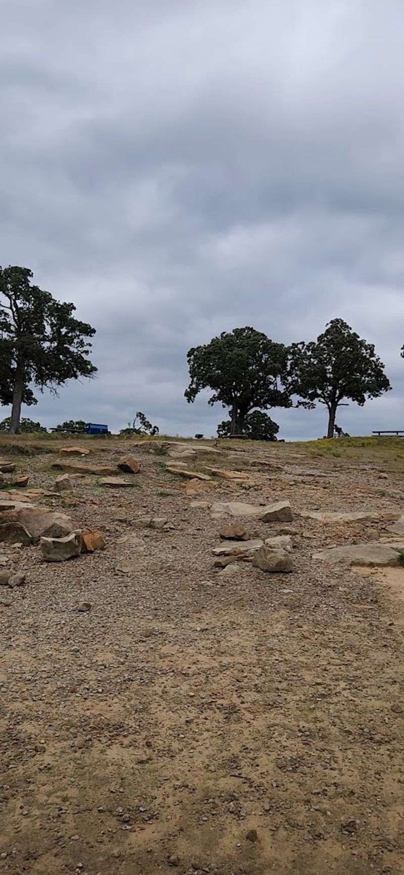 Wildlife Around the Lake Is a Constant Companion