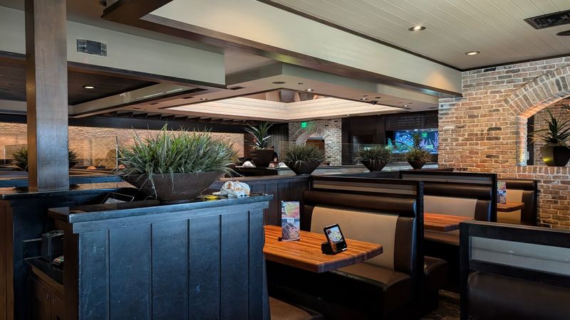 Why Cheddar's on Texas Sage Trail Deserves a Spot on Your List