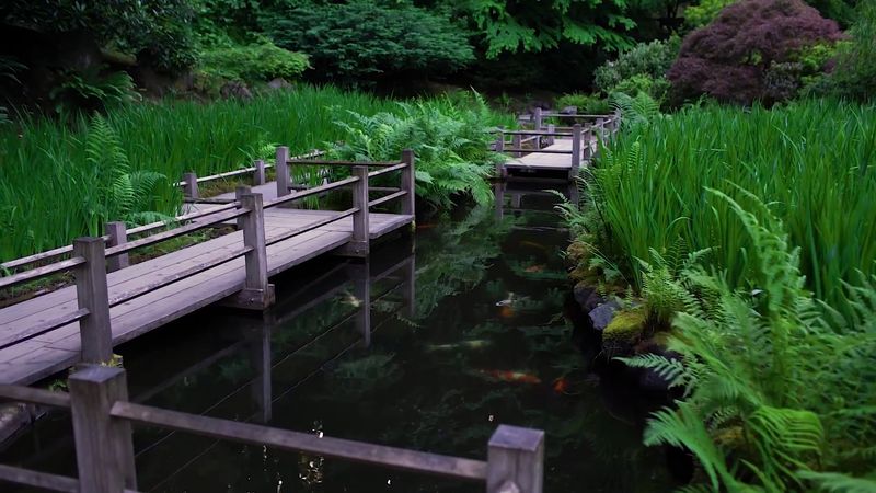 A Waterfall Hidden Inside the Garden