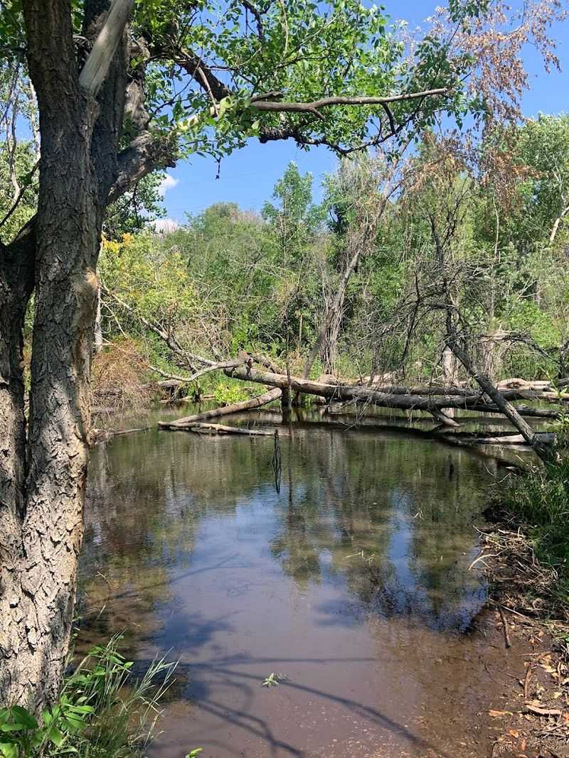 Volunteer Warriors: The People Doing the Hard Work on the Ground