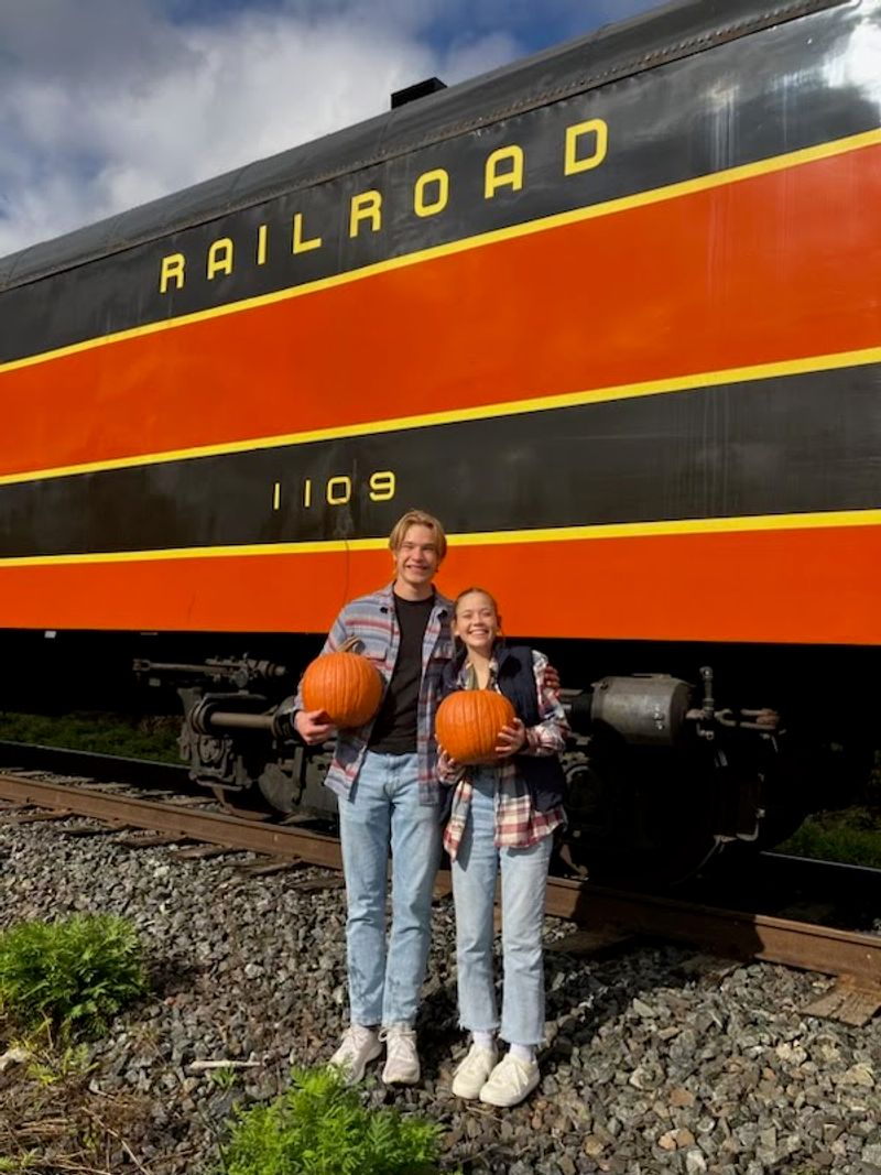 Themed Rides That Make Every Season Special