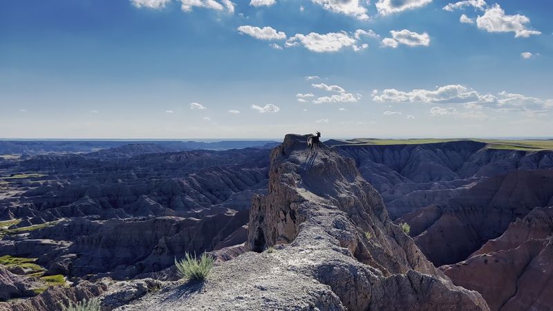 The Badlands Banshee and Her Chilling Cry