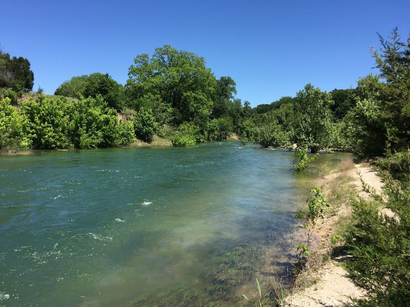 Wildlife Along the Way: More Than Just Scenery