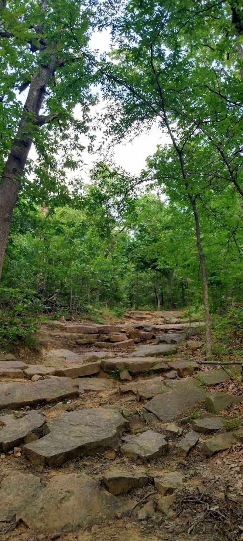 Trail Difficulty Levels Suit Every Kind of Rider