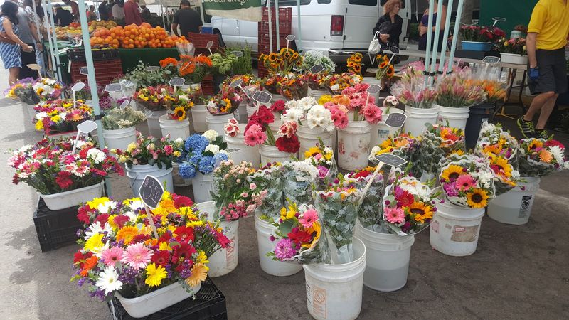 Over 200 Tents In The Sun