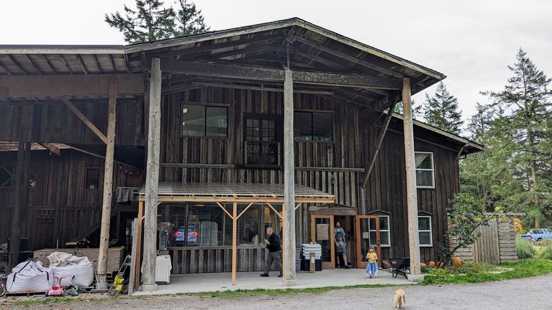 Six Hundred To Seven Hundred Loaves Each Summer Week