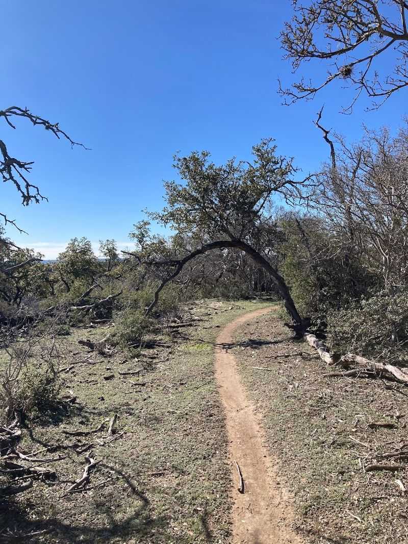 The Lower Loop: Miles of Momentum and Technical Flow