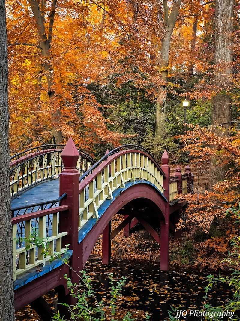A Bridge Built for a Special Day