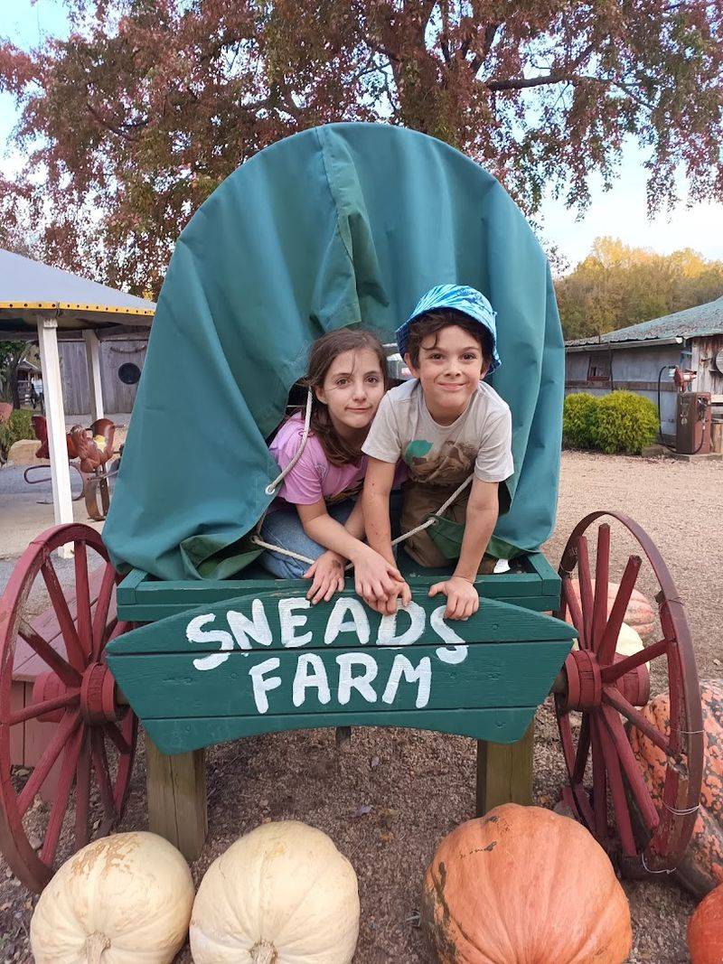 Asparagus Season and the Joy of Picking Your Own