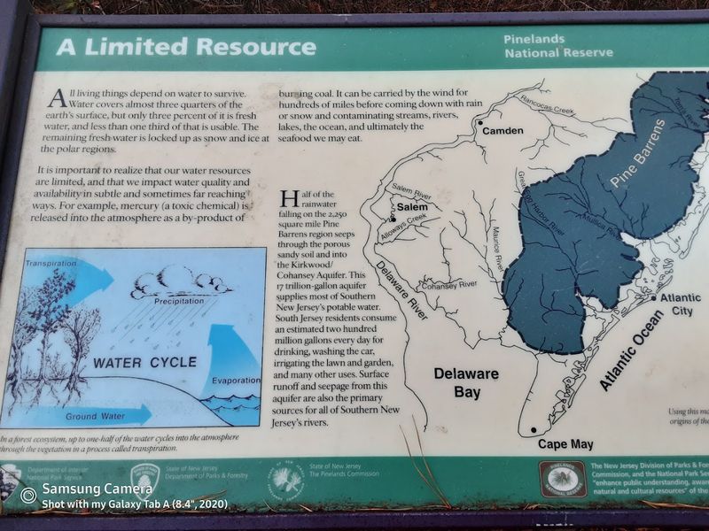 Why the Pinelands National Reserve Matters More Than Ever