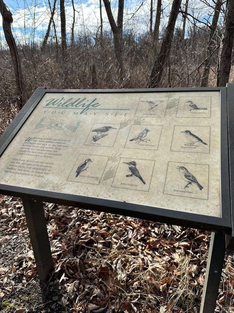 Birdwatching That Will Genuinely Surprise You