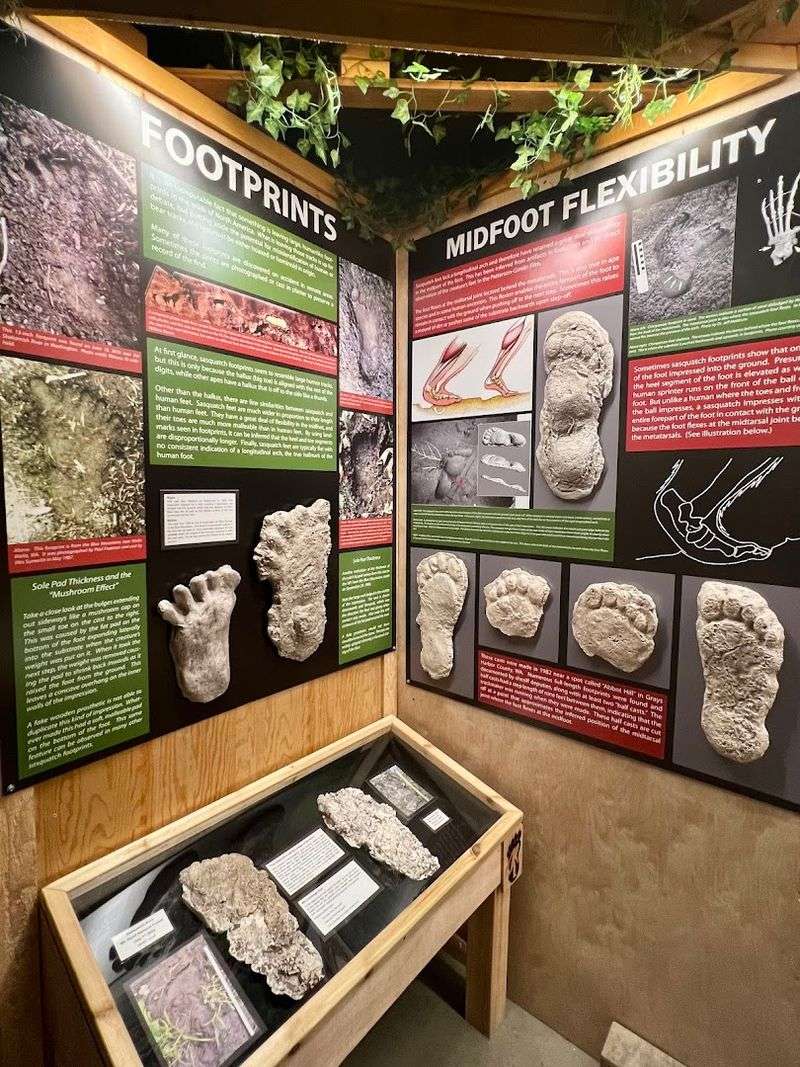 Footprint Casts and Physical Evidence That Make You Think