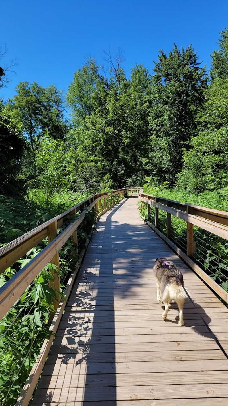 An Accessible Loop Trail That Works for Almost Everyone