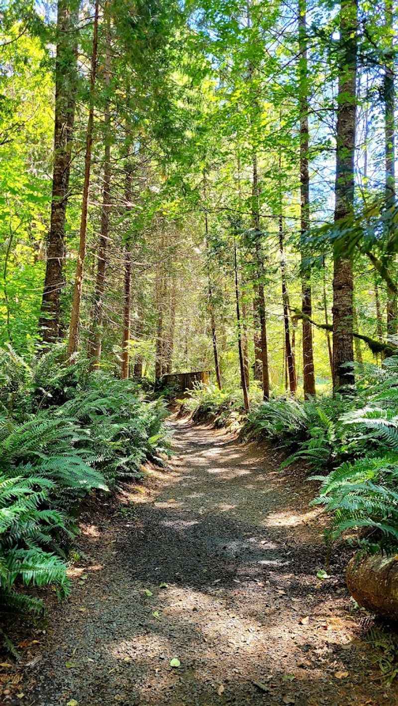 McKenzie River Trail: The Hike That Earns the Soak