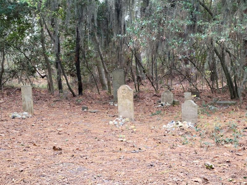 False Cape State Park: The Unlikely Guardian