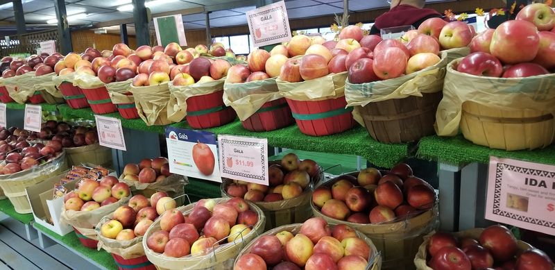 A Fruit-Filled Michigan Market Worth The Detour