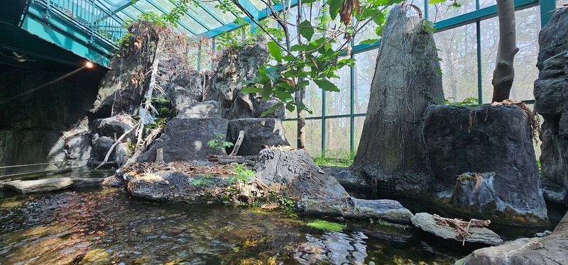 Virginia Living Museum