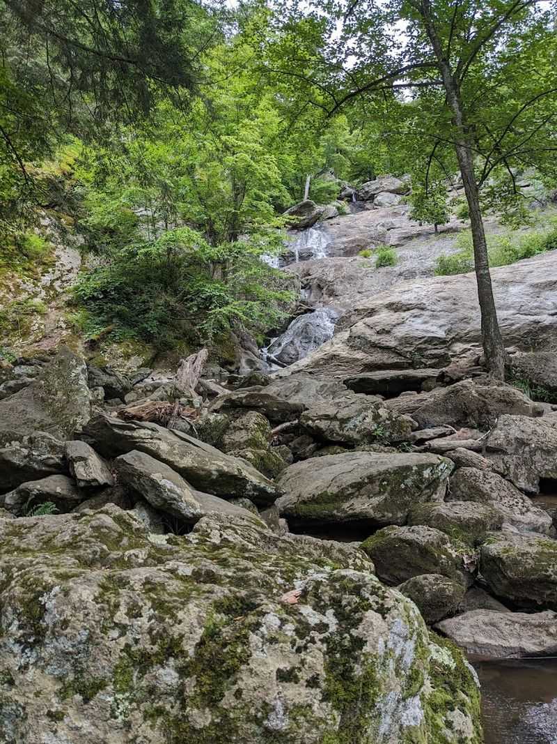 The Boardwalk Trail: An Accessible Route to the Overlook