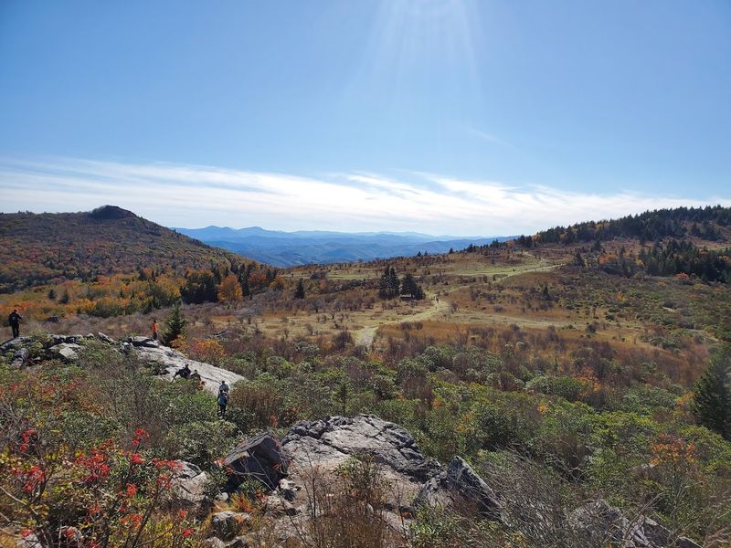 The Enchanted Forest Along the Mount Rogers Trail