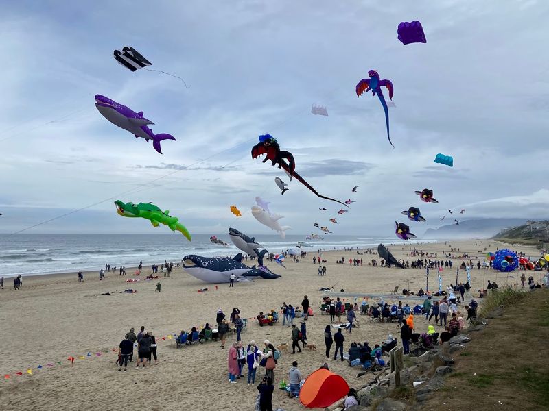 A Free Festival for Everyone