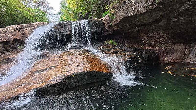 Virginia's Largest Wilderness Area on National Forest Land
