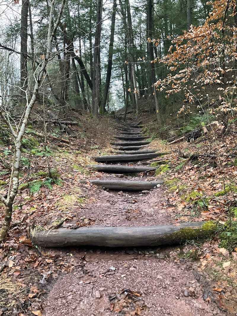 Rocky Terrain and Why Your Footwear Choice Actually Matters