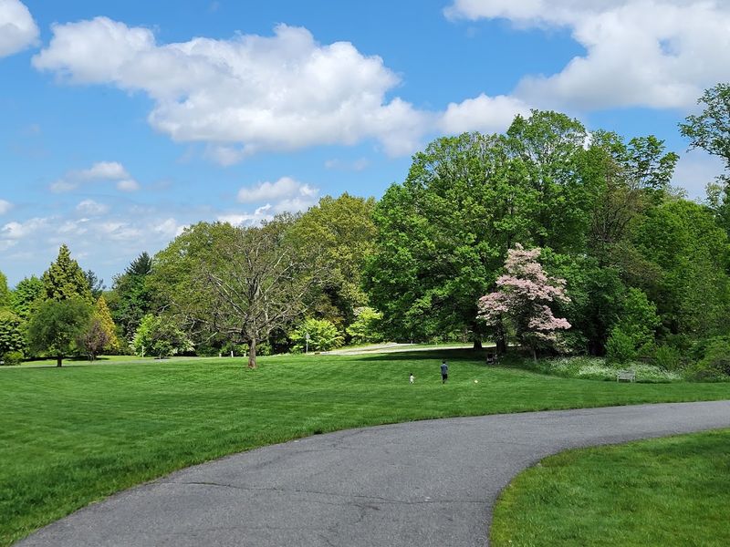 127 Acres of Pure Green Escape