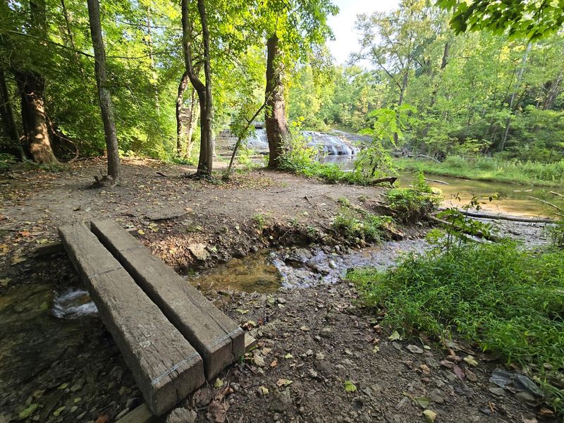 A Peaceful Path Winding Down To The Watery Surprise