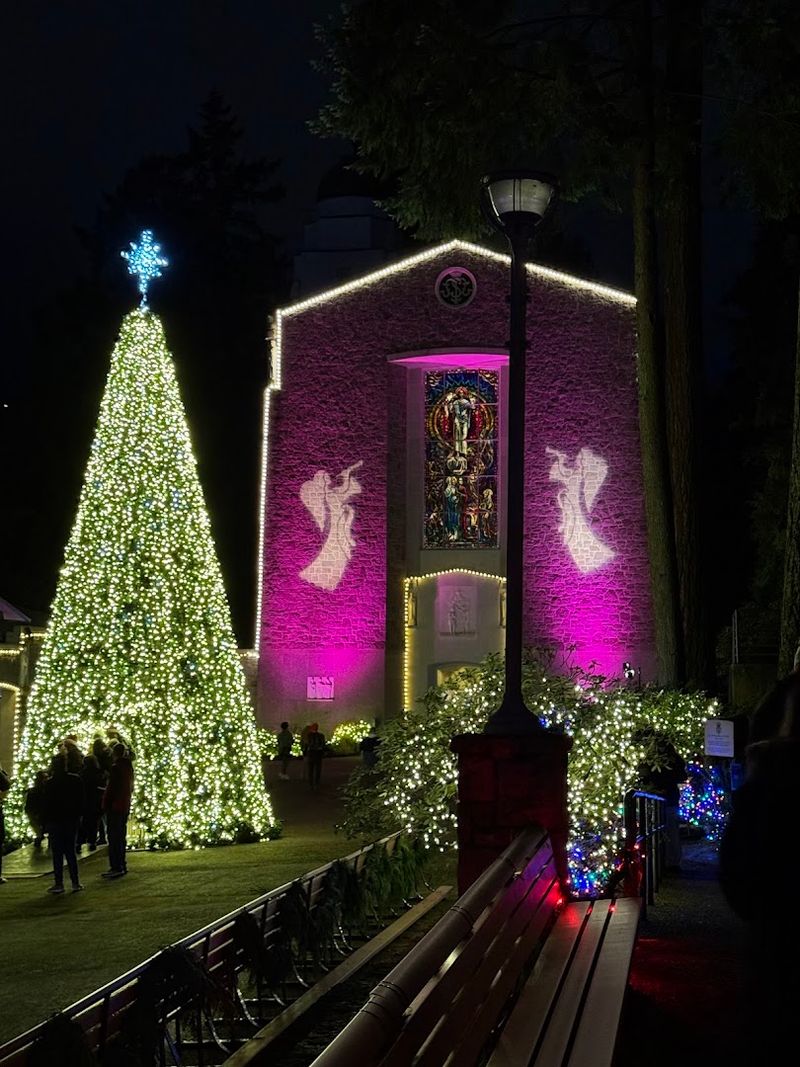 Holiday Magic at The Grotto During Christmas