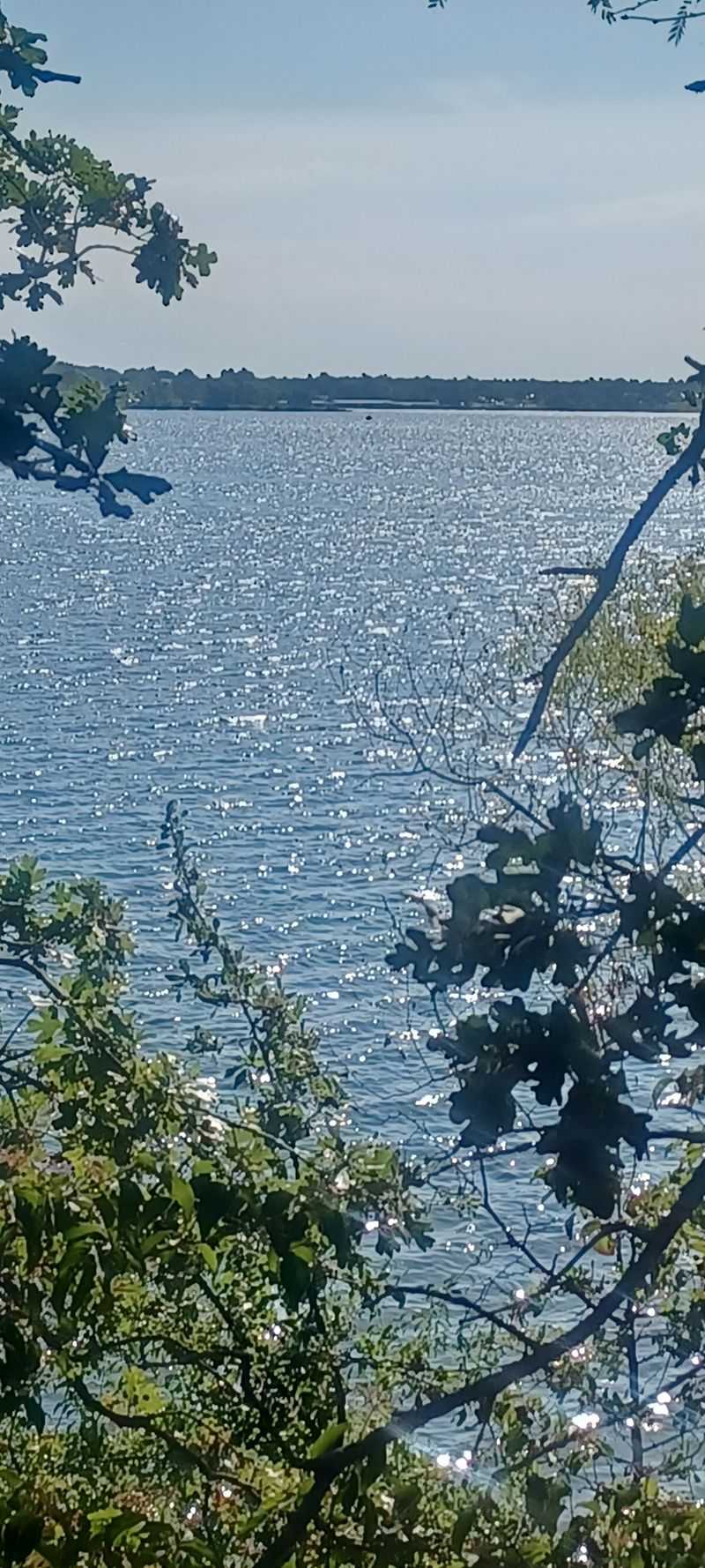 Best Times to Visit and What Each Season Offers