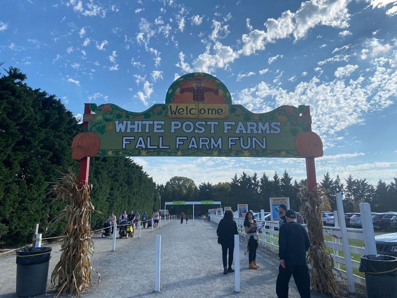 This Melville Spot Feels Bigger Than Expected