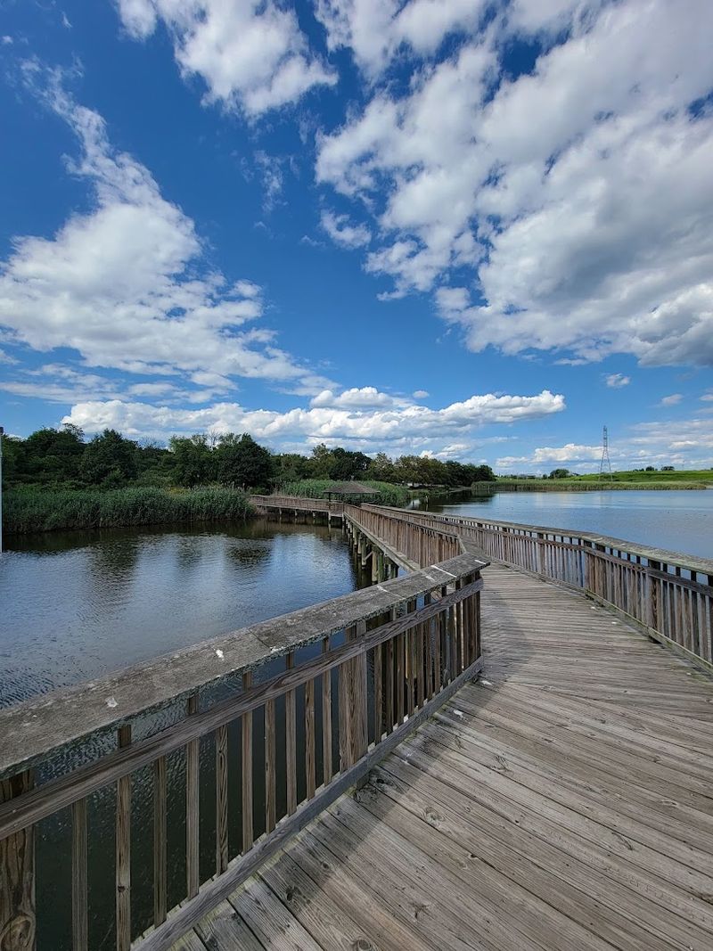 Stargazing at the William D. McDowell Observatory