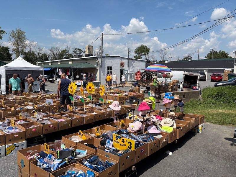 Now More Than Thirty Acres Of Treasure Hunting