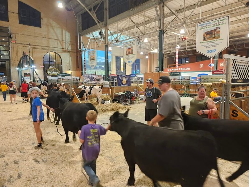 Farm Animals and Livestock Barns