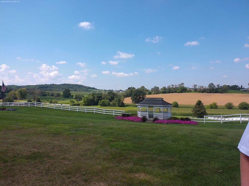 The Wilmot, Ohio Setting: Why the Drive Is Part of the Experience