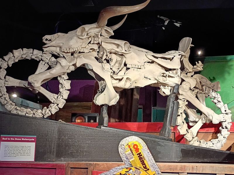 Bizarre World Records and Record-Breaking Artifacts